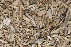 biomass boilers Vanlop